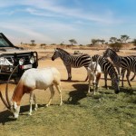 Al Ain Zoo Expands Green Initiatives to Preserve Botanical Wealth