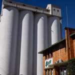 Bega Group Sells Peanut Assets, 30 Jobs Saved in Queensland