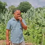 Cactus Farming in Thar Desert Could Bring Prosperity to Farmers