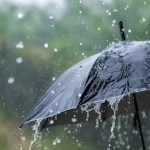 Flight schedule again disturbed at the airport: Indigo canceled Chandigarh flight, SpiceJet's Pune and Dubai flights delayed.