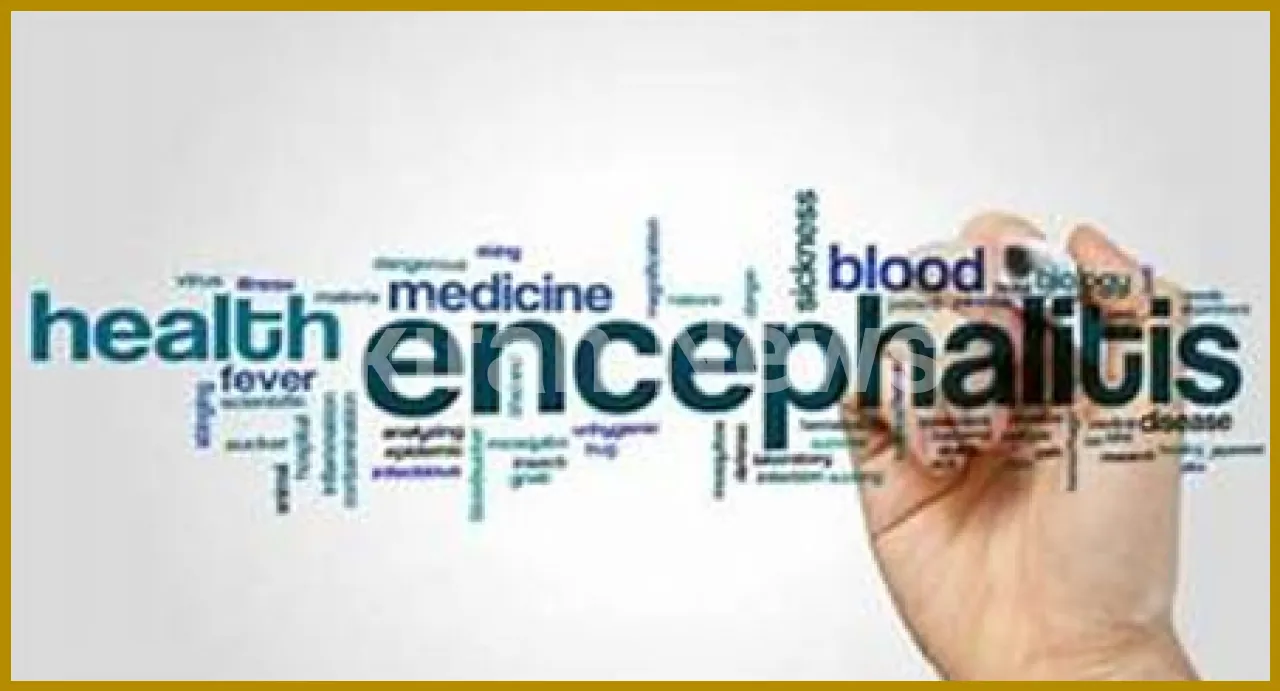 Rising AES Cases Prompt Health Alert in Udaipur